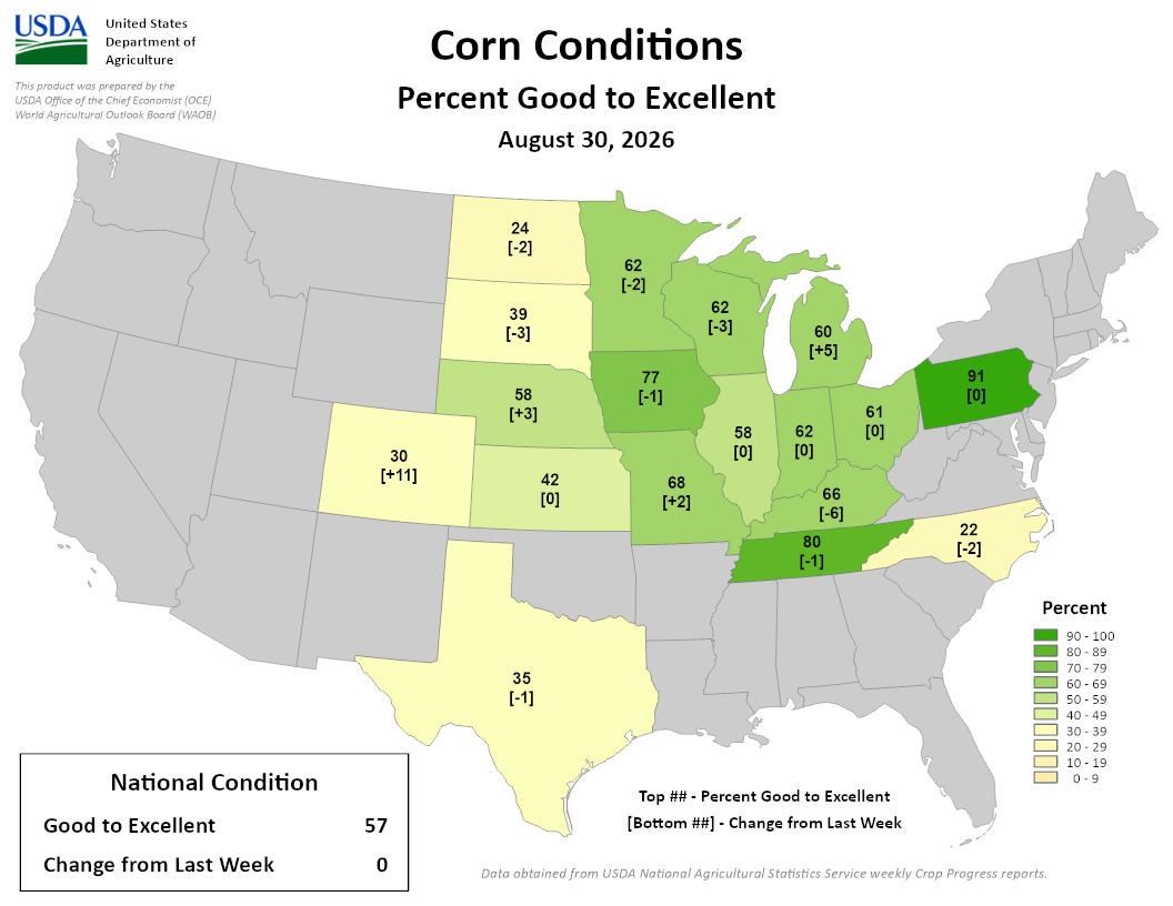  USDA map of U.S. corn conditions showing percent good to excellent as of August 30, 2026.
