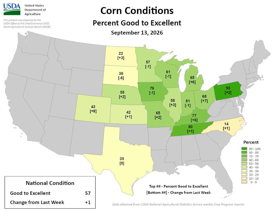USDA map of US corn conditions showing 57 percent good to excellent nationally as of September 13, 2026.