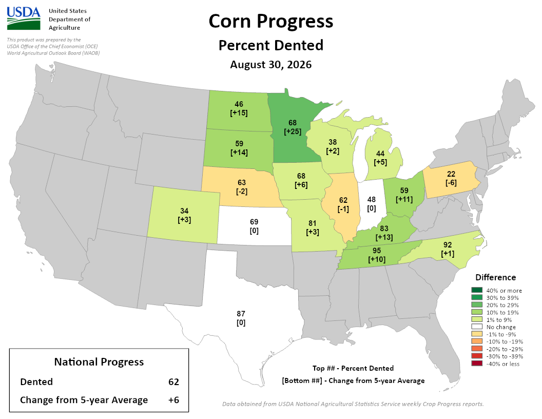 USDA map of U.S. corn progress showing percent dented and change from 5-year average as of August 30, 2026.