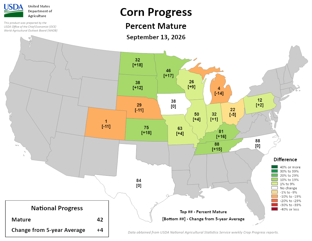 USDA map of US corn maturity progress showing 42 percent mature nationally as of September 13, 2026.