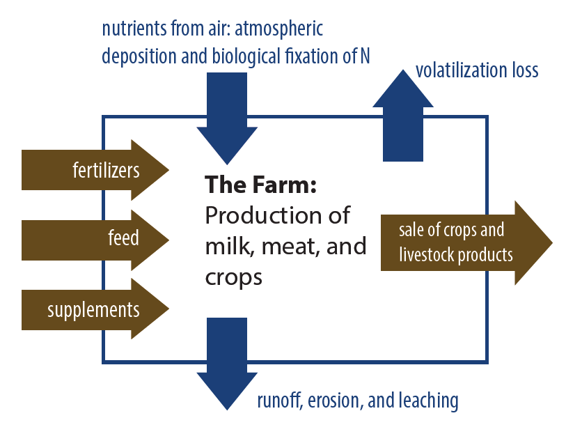 Diagram of a pasture nutrient balance showing nutrient inputs to a farm from fertilizers, feed, supplements, and nitrogen from atmospheric deposition and biological fixation. Outputs include sale of crops and livestock products, volatilization losses, and nutrient losses through runoff, erosion, and leaching. The farm produces milk, meat, and crops.