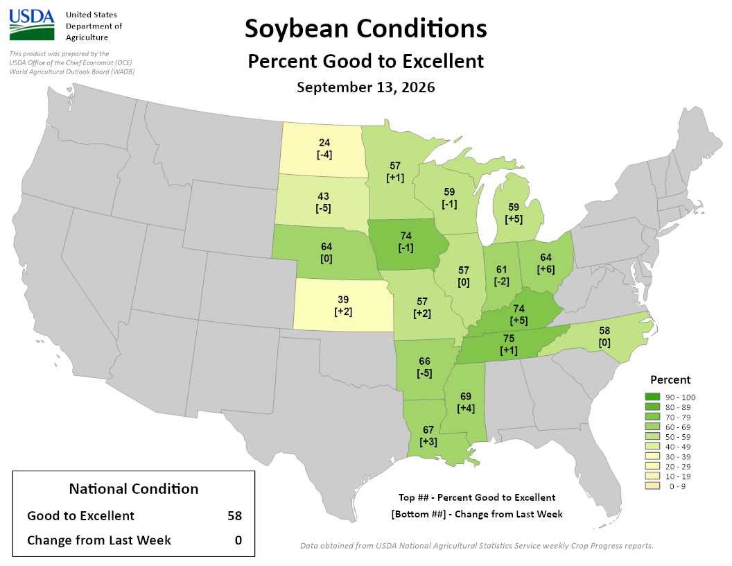 USDA map of US soybean conditions showing 58 percent good to excellent nationally as of September 13, 2026.