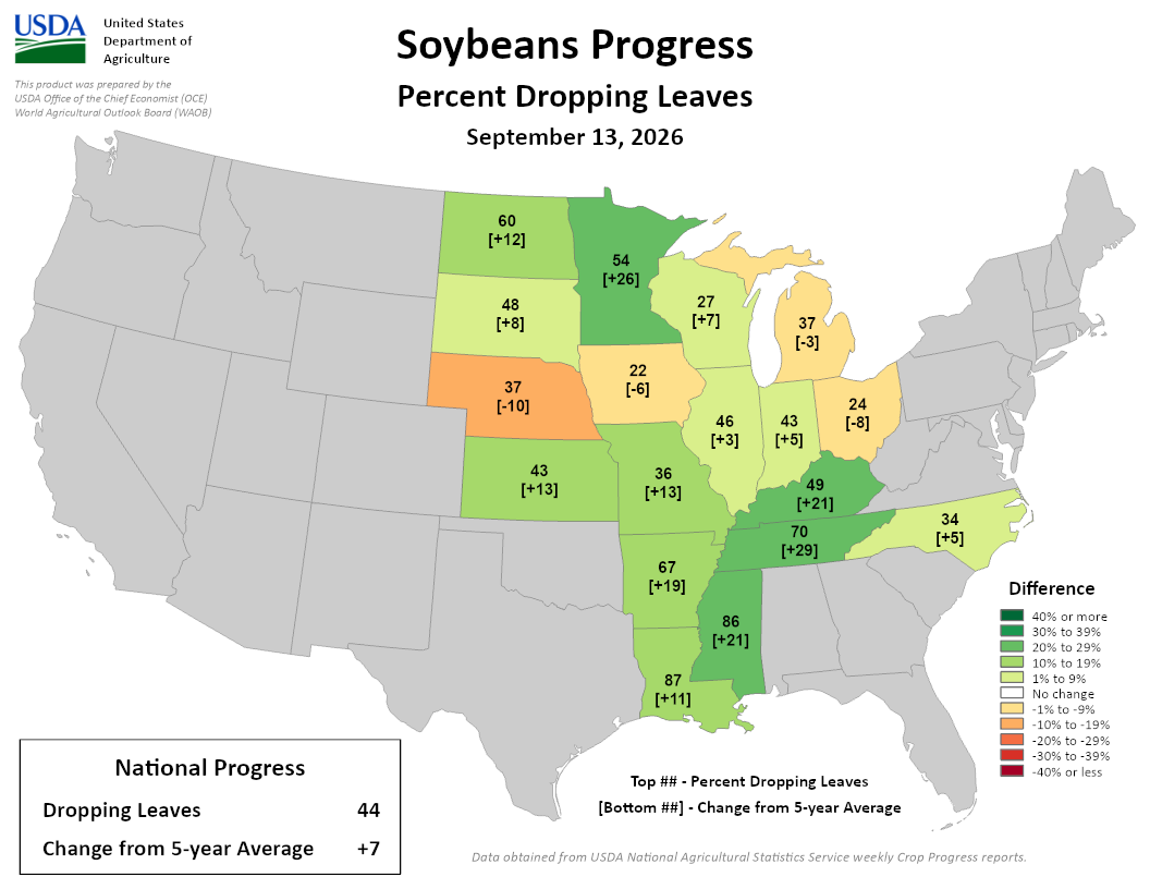  USDA map of US soybean leaf dropping progress showing 44 percent nationally as of September 13, 2026.