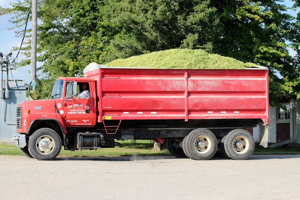 2026 Corn Silage Dry Down Regional Reports