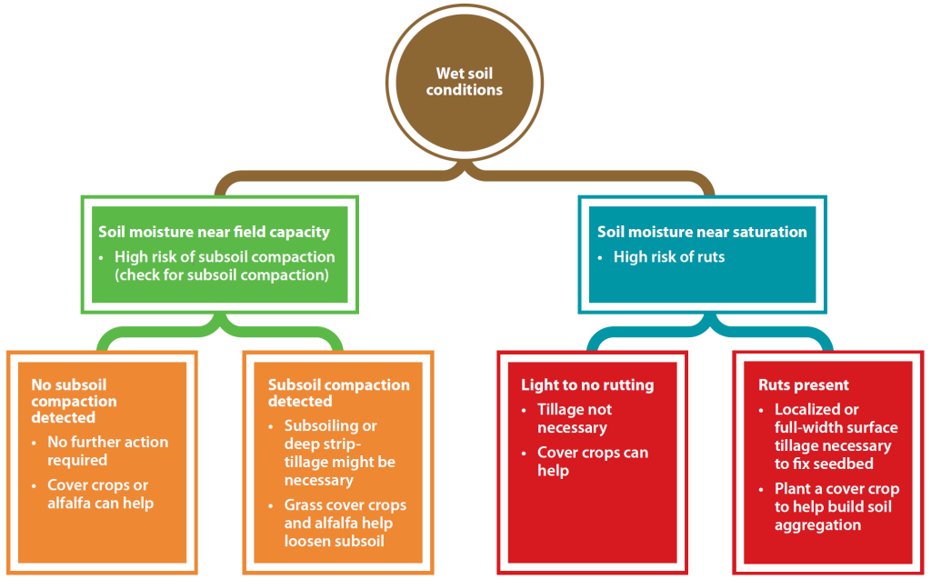Decision diagram showing routes based on wet soil conditions: field‑capacity moisture leads to checking for subsoil compaction and choosing no action, cover crops, or subsoiling; saturated soils lead to assessing rutting and choosing no tillage, surface tillage, or cover crops