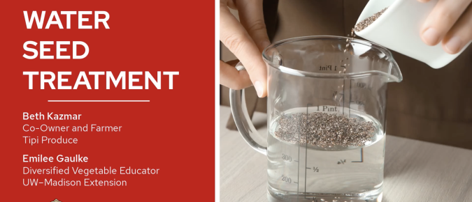 Hot water seed treatment for management of seed-borne diseases