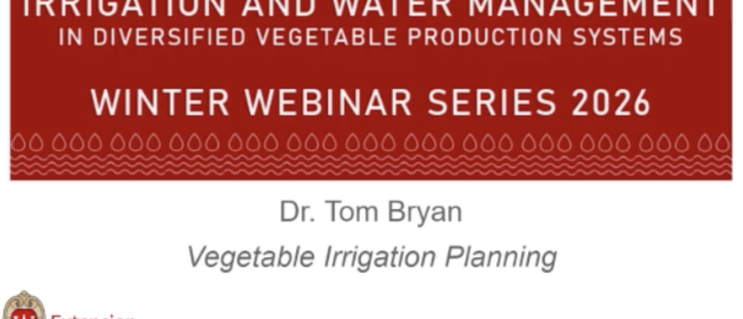 Vegetable Irrigation Planning