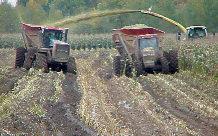 Soil Compaction: Causes, Concerns, Cures