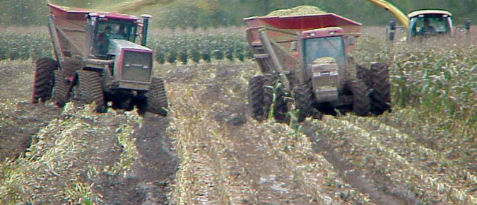 Soil Compaction: Causes, Concerns, Cures