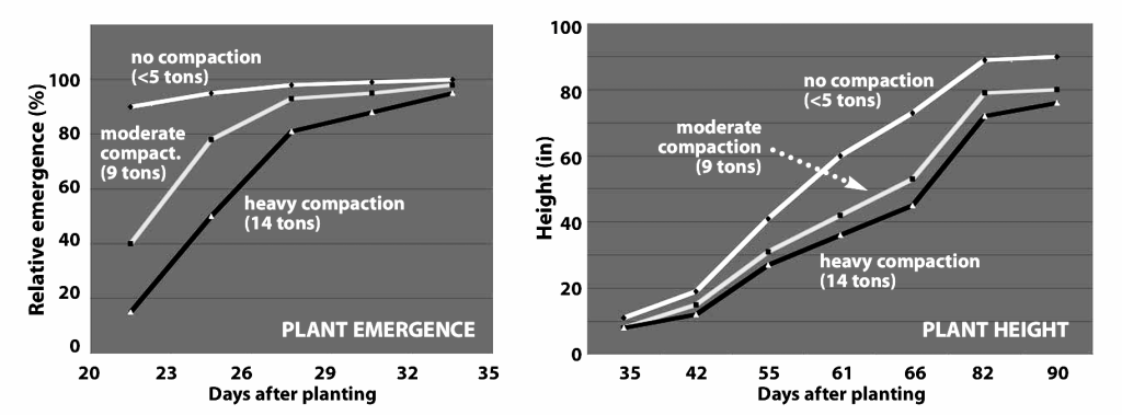 Two line graphs showing corn emergence and height over time. Heavier soil compaction (fourteen tons) slows emergence and limits plant height compared to moderate (nine tons)  and no compaction (less than five tons)