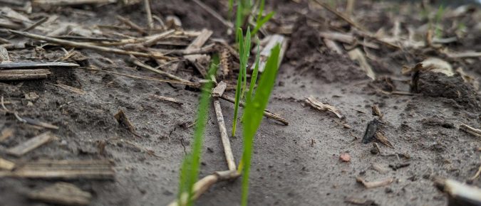 ▶ Biochar and Manure in the Central Sands of Wisconsin