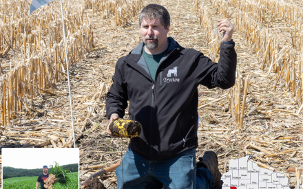 Landscape position effects on optimum nitrogen rates