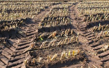 Managing Soil Compaction at Planting and Harvest 