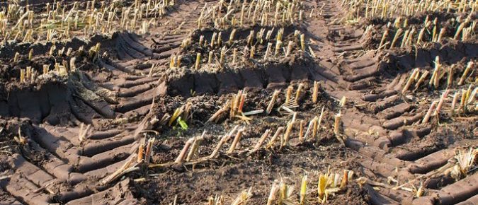 Managing Soil Compaction at Planting and Harvest 