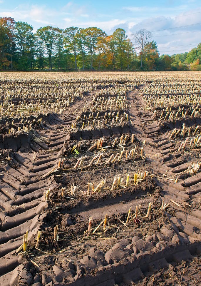 Harvested field with deep tire ruts and compacted soil from heavy machinery, showing uneven surface and crop residue under a blue sky.